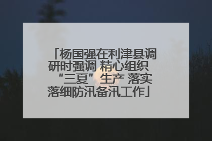 杨国强在利津县调研时强调 精心组织“三夏”生产 落实落细防汛备汛工作