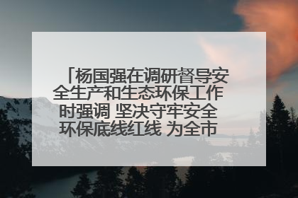 杨国强在调研督导安全生产和生态环保工作时强调 坚决守牢安全环保底线红线 为全市经济社会高质量发展提供坚强保障