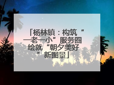 杨林镇：构筑“一老一小”服务圈 绘就“朝夕美好”新图景