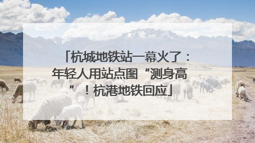 杭城地铁站一幕火了：年轻人用站点图“测身高”！杭港地铁回应