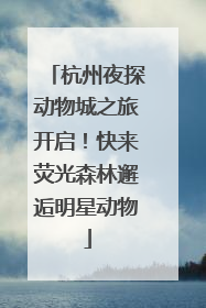 杭州夜探动物城之旅开启！快来荧光森林邂逅明星动物