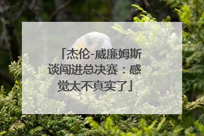 杰伦-威廉姆斯谈闯进总决赛：感觉太不真实了