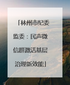 林州市纪委监委：民声微信群激活基层治理新效能