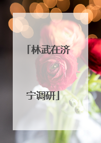 林武在济宁调研