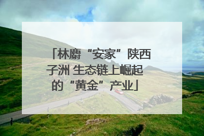 林麝“安家”陕西子洲 生态链上崛起的“黄金”产业