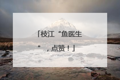 枝江“鱼医生”，点赞！