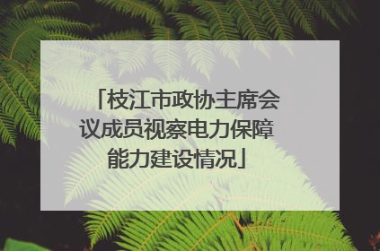 枝江市政协主席会议成员视察电力保障能力建设情况