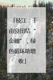 枝江：千亩良田结“金穗”，绿色循环助增收