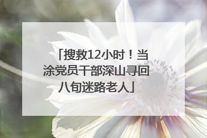 搜救12小时！当涂党员干部深山寻回八旬迷路老人
