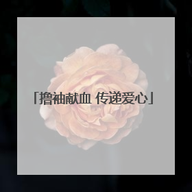 撸袖献血 传递爱心