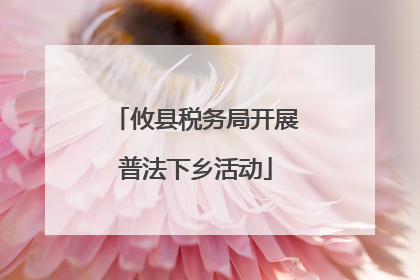 攸县税务局开展普法下乡活动
