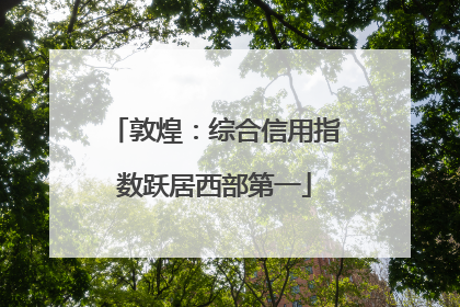 敦煌：综合信用指数跃居西部第一