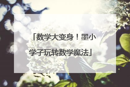 数学大变身！墨小学子玩转数学魔法