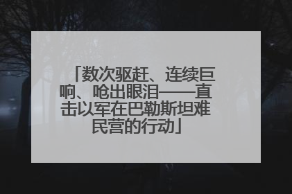 数次驱赶、连续巨响、呛出眼泪——直击以军在巴勒斯坦难民营的行动
