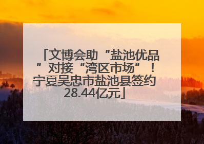 文博会助“盐池优品”对接“湾区市场”！宁夏吴忠市盐池县签约28.44亿元