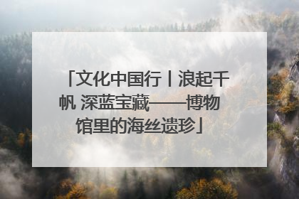 文化中国行丨浪起千帆 深蓝宝藏——博物馆里的海丝遗珍
