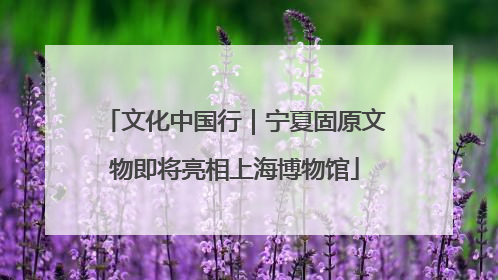 文化中国行｜宁夏固原文物即将亮相上海博物馆