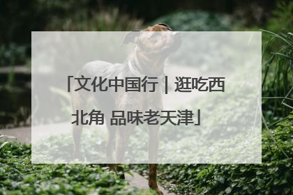 文化中国行｜逛吃西北角 品味老天津