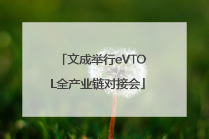 文成举行eVTOL全产业链对接会