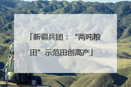 新疆兵团：“两吨粮田”示范田创高产