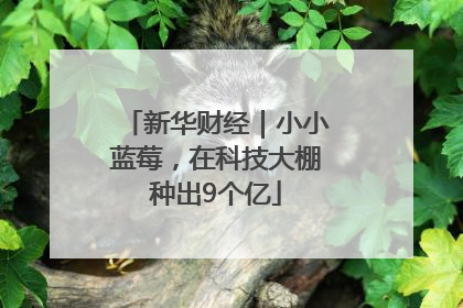 新华财经｜小小蓝莓，在科技大棚种出9个亿