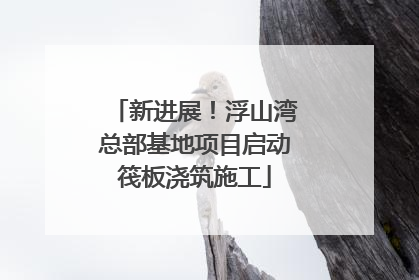 新进展！浮山湾总部基地项目启动筏板浇筑施工
