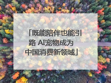 既能陪伴也能引路 AI宠物成为中国消费新领域