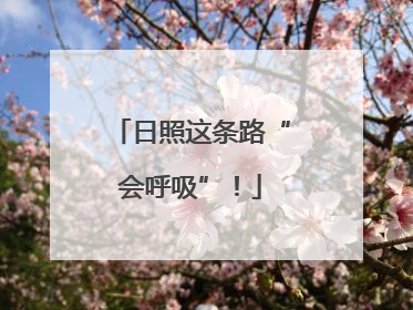 日照这条路“会呼吸”！