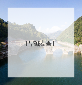 旱碱麦香