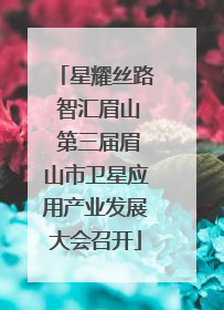 星耀丝路 智汇眉山 第三届眉山市卫星应用产业发展大会召开
