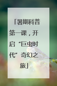 暑期科普第一课，开启“巨虫时代”奇幻之旅