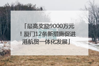 最高奖励9000万元！厦门12条新措施促进港航贸一体化发展