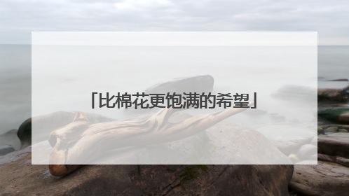比棉花更饱满的希望