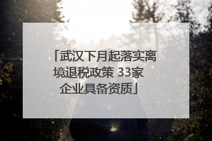 武汉下月起落实离境退税政策 33家企业具备资质