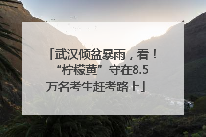 武汉倾盆暴雨，看！“柠檬黄”守在8.5万名考生赶考路上