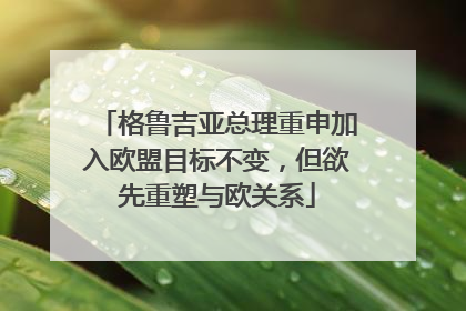 格鲁吉亚总理重申加入欧盟目标不变，但欲先重塑与欧关系