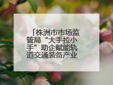 株洲市市场监管局“大手拉小手”助企赋能轨道交通装备产业链质量升级