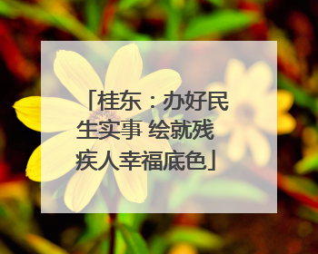 桂东：办好民生实事 绘就残疾人幸福底色