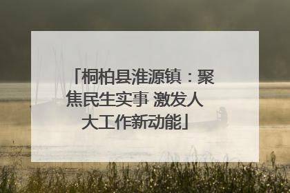 桐柏县淮源镇：聚焦民生实事 激发人大工作新动能