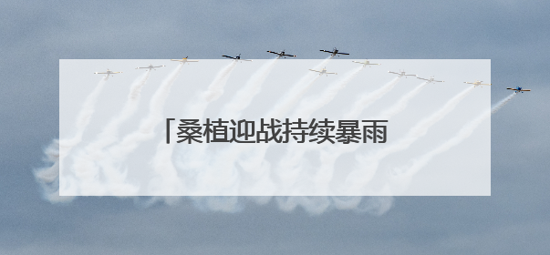 桑植迎战持续暴雨！各乡镇紧急开展风险排查、转移安置