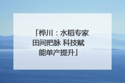 桦川：水稻专家田间把脉 科技赋能单产提升