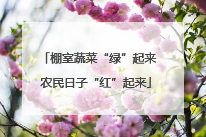 棚室蔬菜“绿”起来 农民日子“红”起来