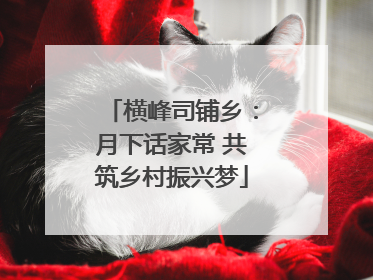 横峰司铺乡：月下话家常 共筑乡村振兴梦