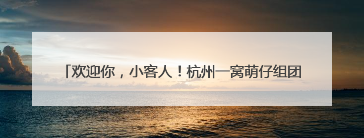欢迎你，小客人！杭州一窝萌仔组团求喂食，大伯在窗台拍下温馨一幕