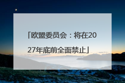 欧盟委员会：将在2027年底前全面禁止