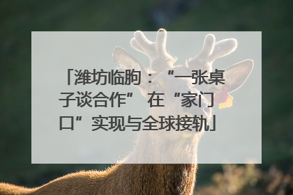 潍坊临朐：“一张桌子谈合作” 在“家门口”实现与全球接轨