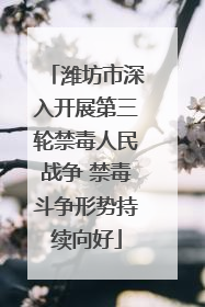 潍坊市深入开展第三轮禁毒人民战争 禁毒斗争形势持续向好
