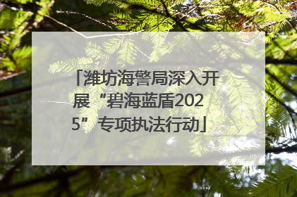 潍坊海警局深入开展“碧海蓝盾2025”专项执法行动