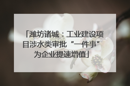 潍坊诸城：工业建设项目涉水类审批“一件事” 为企业提速增值