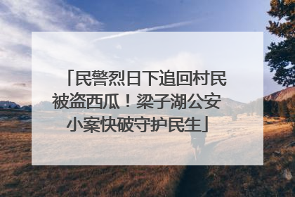 民警烈日下追回村民被盗西瓜！梁子湖公安小案快破守护民生